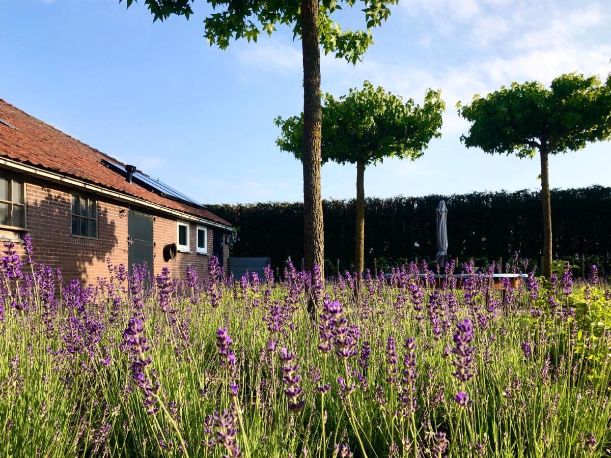 Lavender Lodge Achthuizen Extérieur photo